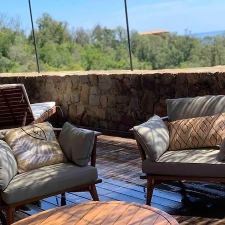 Falcone Marinu ***** *