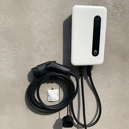 Falcone Marinu *****