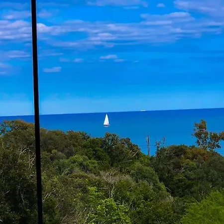 Falcone Marinu *****