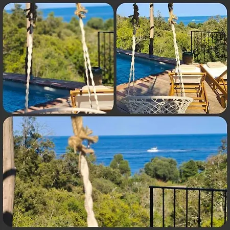 Falcone Marinu ***** *