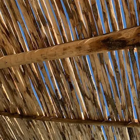 Falcone Marinu *****