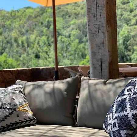 Falcone Marinu *****