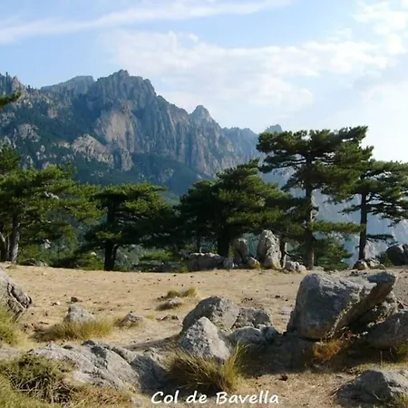 Falcone Marinu ***** *