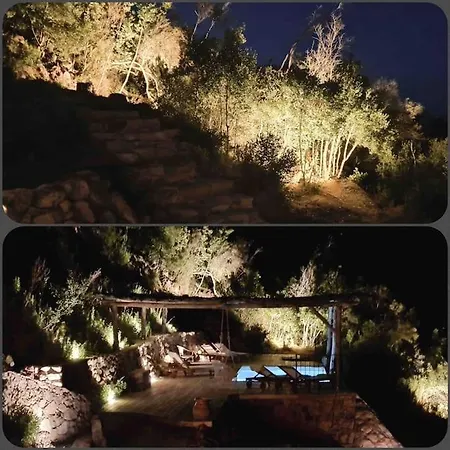 Falcone Marinu ***** Kamiesch