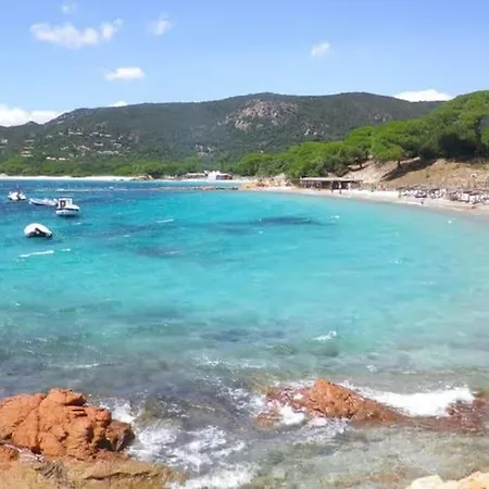 Falcone Marinu *****