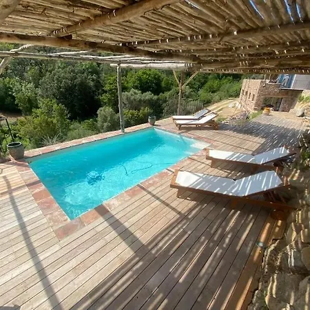 Falcone Marinu ***** Kamiesch