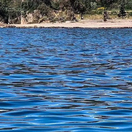 Falcone Marinu ***** *