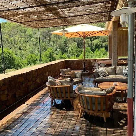 Falcone Marinu ***** Kamiesch