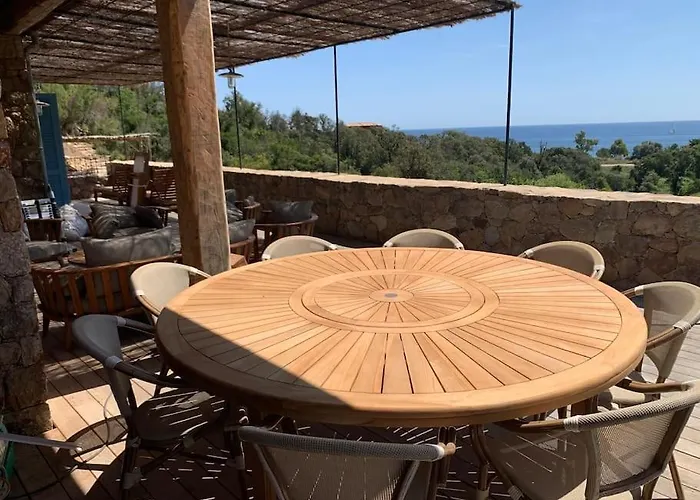 Falcone Marinu *****