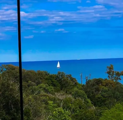 Falcone Marinu *****