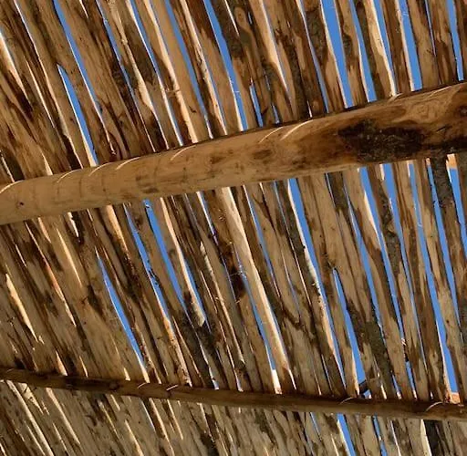 Falcone Marinu *****