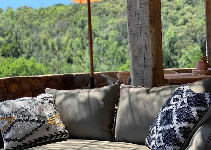 Falcone Marinu *****