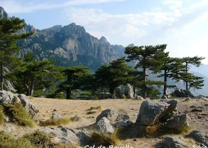 Falcone Marinu ***** *