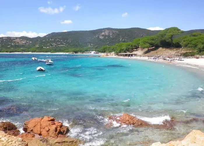 Falcone Marinu *****