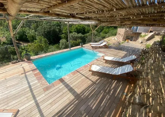 Falcone Marinu ***** Kamiesch