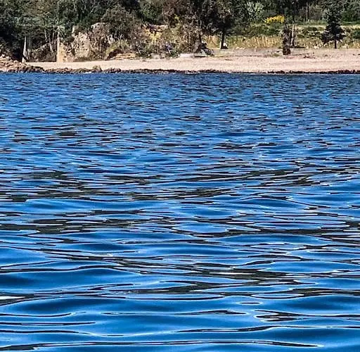 Falcone Marinu ***** *