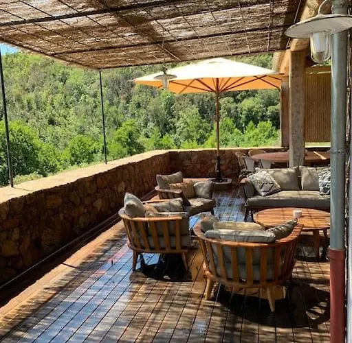 Falcone Marinu ***** Kamiesch